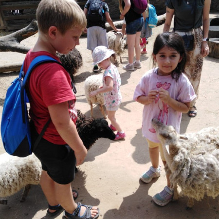 [img-20210726-wa0009.jpeg]