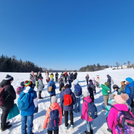 [img-20250209-wa0011.jpeg]