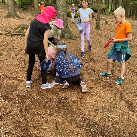 [361119039-292567463247508-2382762549144635097-n.jpeg]