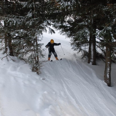 [dsc-0730-resize.jpeg]