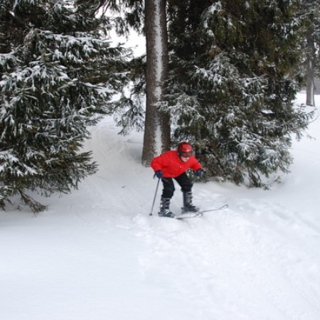 [dsc-0745-resize.jpeg]