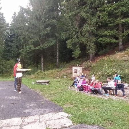 [received-429720545061249.jpeg]