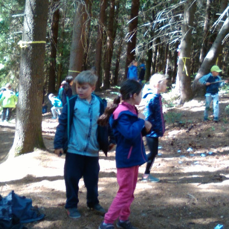 [img-20190711-095903.jpeg]