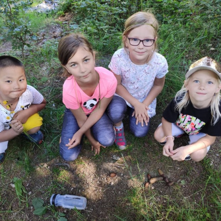 [109990051-981913782230848-2614129894518066348-n.jpeg]