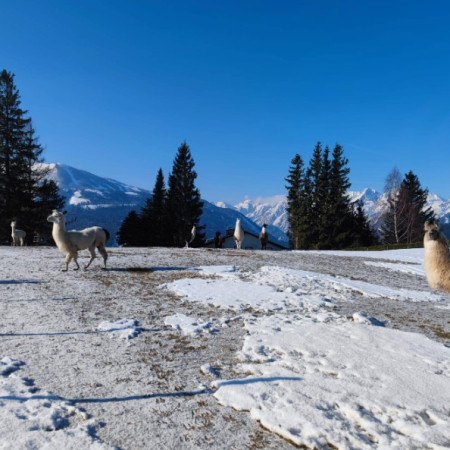 [276028760-976551496566493-475012653543354230-n.jpeg]