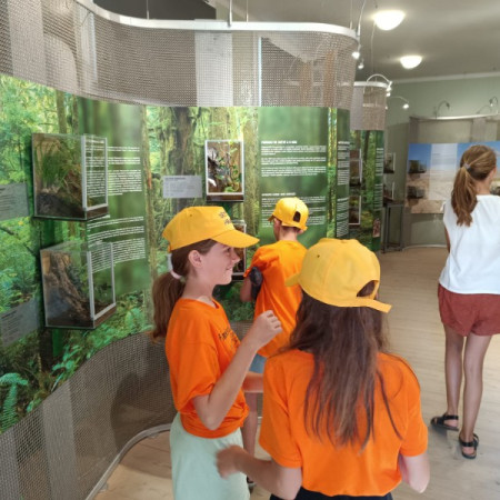 [photo-2023-08-18-17-31-45-1-.jpeg]