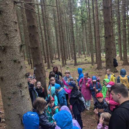 [pxl-20240704-140451202.jpeg]