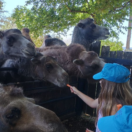 [ef8569d2-b2d9-4f6e-8e81-90f0e283f3fc.jpeg]