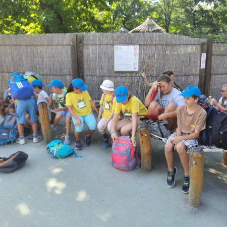 [20220811-112230.jpeg]