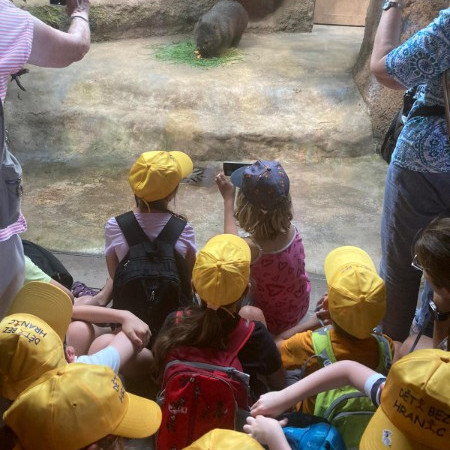 [img-20240715-wa0005.jpeg]