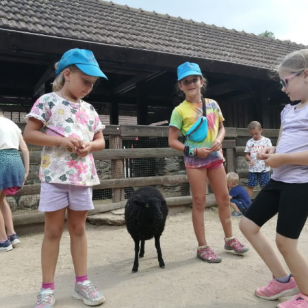 [img-20220815-wa0001.jpeg]