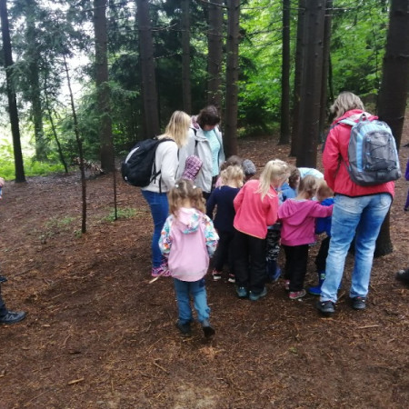 [116796629-279314616700390-2787377923219790784-n.jpeg]