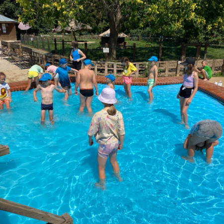 [b6498bf9-01a4-4727-827e-53351b0af8c1.jpeg]