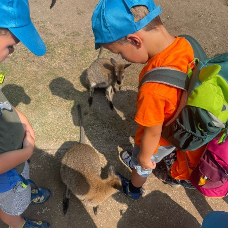 [img-20230711-wa0003.jpeg]