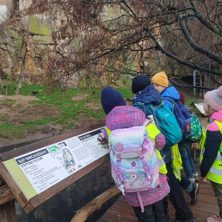 [427910219-10221097860590546-7156165328935015290-n.jpeg]