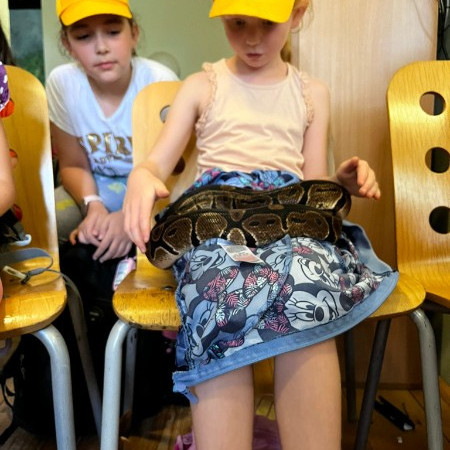 [img-20240712-wa0028.jpeg]