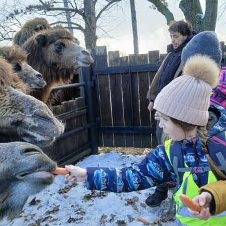 [img-20250317-wa0035.jpeg]