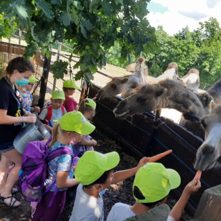 [20210712-140622.jpeg]