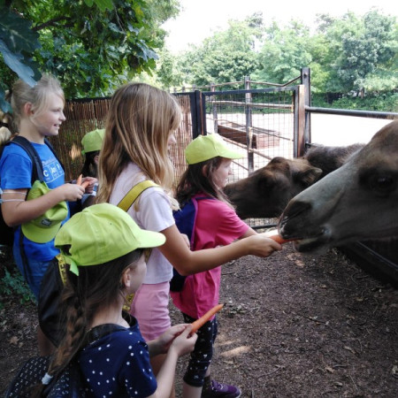 [img-20210726-wa0069.jpeg]