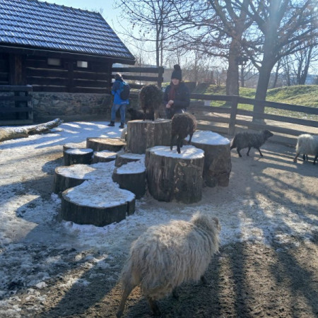 [img-20250317-wa0091.jpeg]