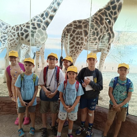 [img-20240717-102014.jpeg]