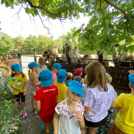 [ee483fd6-259d-40a9-b91e-8a95a5f3fdf5.jpeg]