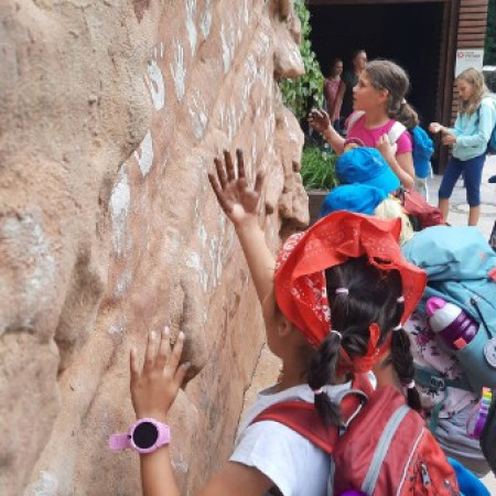 [297660793-476795140927712-6745531618963723167-n.jpeg]