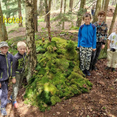 [received-3791894281095702.jpeg]