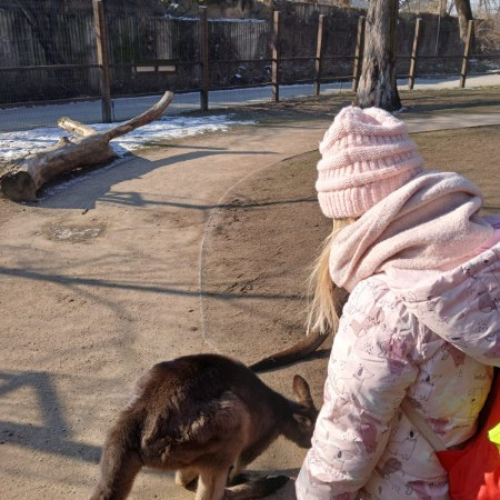 [img-20250317-wa0102.jpeg]