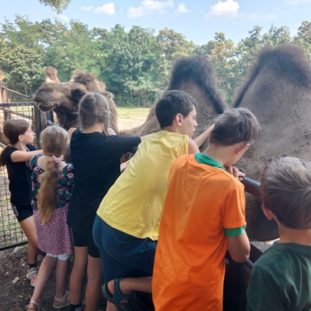 [img-20230821-wa0041.jpeg]