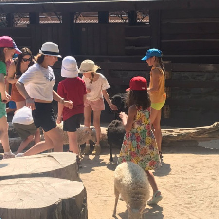 [img-20220720-wa0006.jpeg]