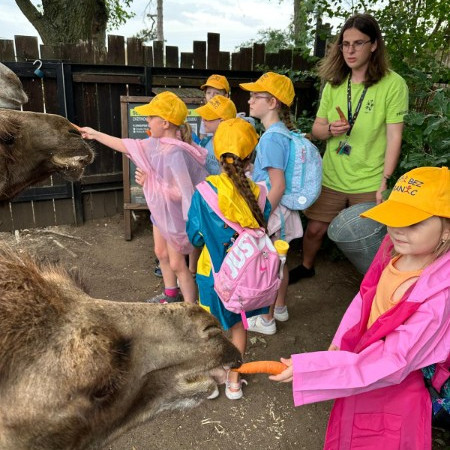 [img-20240716-wa0021.jpeg]