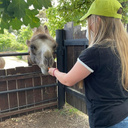 [img-20210723-wa0018.jpeg]