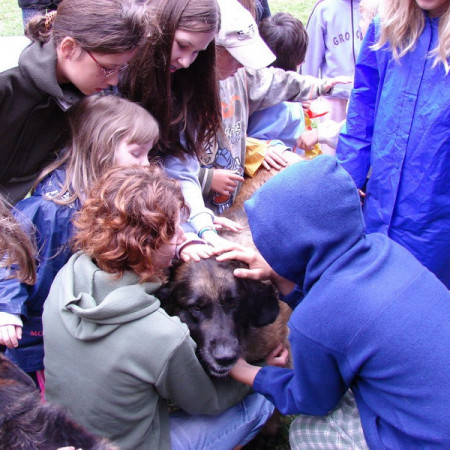 [dsc00912-resize-resize.jpeg]