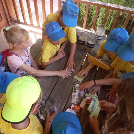 [img-20220816-wa0022.jpeg]