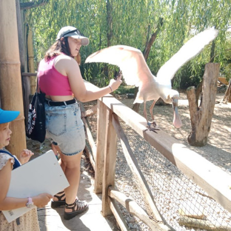 [whatsapp-image-2023-07-28-at-13.07.50-5-.jpeg]