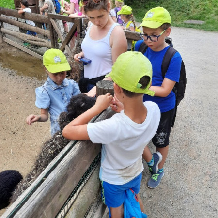 [20210716-151243.jpeg]