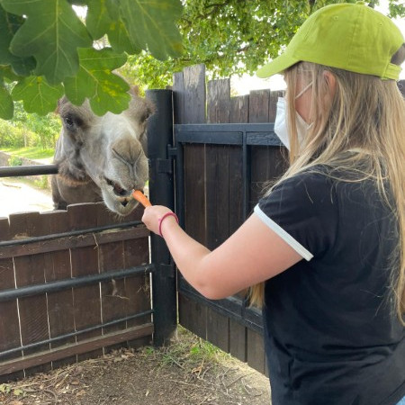 Příměstský tábor 2 2021