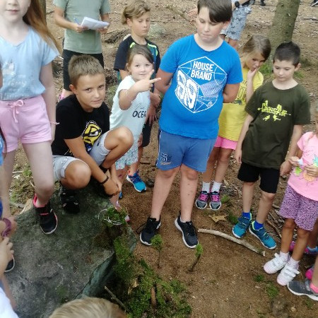 [img-20210816-112548.jpeg]