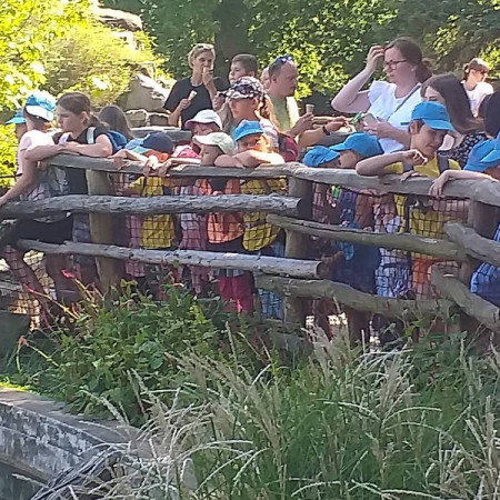 [298791997-396916319250216-2680917838636994480-n.jpeg]