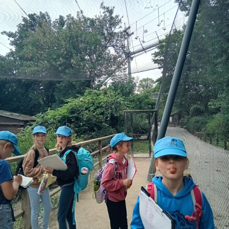 [20250729-094342.jpeg]