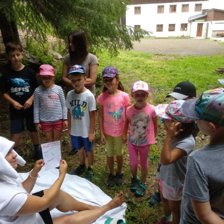 [67422875-364599207770032-761542068592967680-n.jpeg]