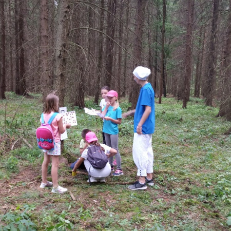 [img-20190710-155937.jpeg]