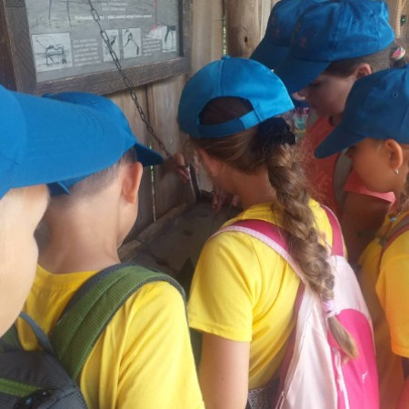 [299327815-1735484316835005-3147818833350334069-n.jpeg]