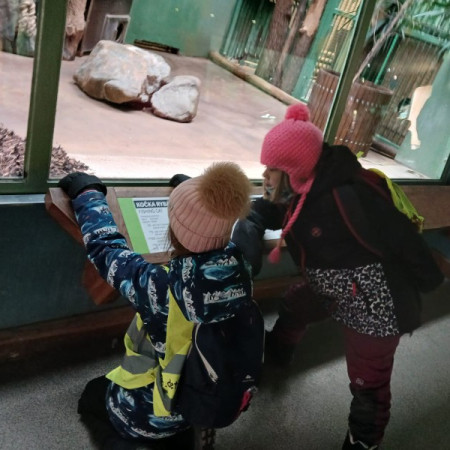 [img-20250317-wa0108.jpeg]