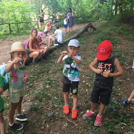 [38178390-2007453909294532-562053649581211648-n.jpeg]