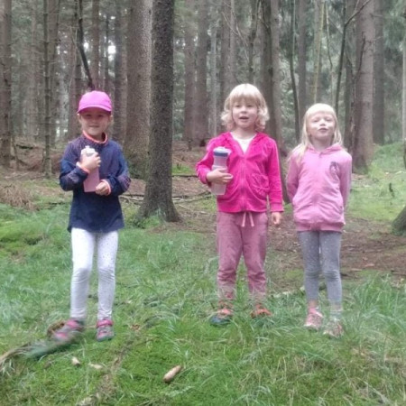 [235465191-313353640570505-6174880316752186960-n.jpeg]