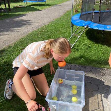 [img-20240813-wa0101.jpeg]