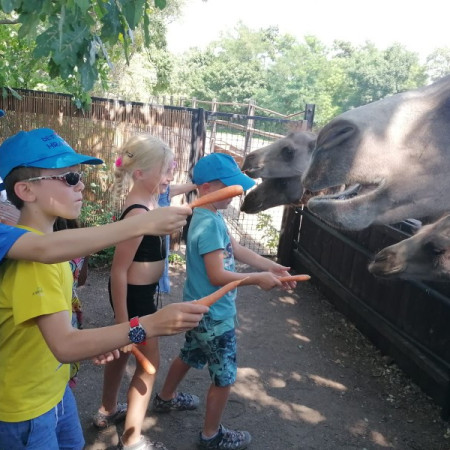 [img-20220720-wa0060.jpeg]