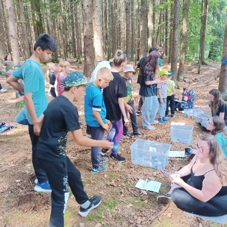 [img-20240712-104052.jpeg]